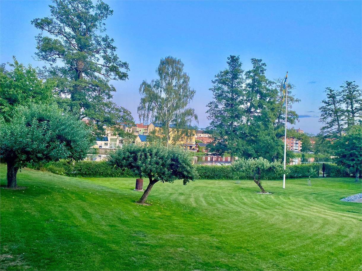 Trädgård och omgivning